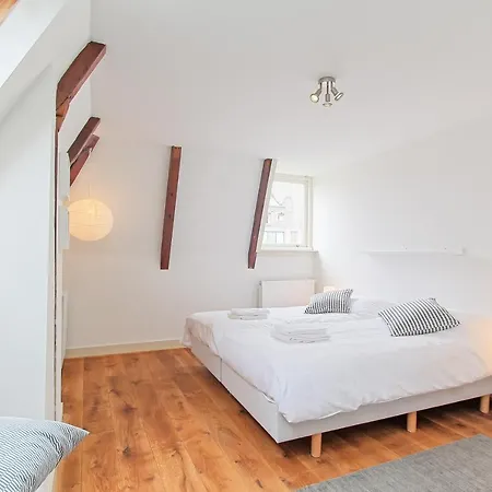 Spacious Three Bedroom With Rooftop In Center
